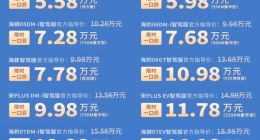 比亚迪海洋网智驾版车型推出限时一口价：海鸥智驾版仅5.58万起