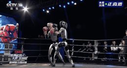 继亦庄机器人马拉松后 首个人形机器人格斗大赛开打
