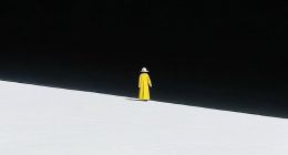 蔚来缺个“王凤英”不该分品牌