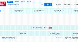 椰树被执行12万 椰树因12万案款成被执行人