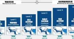 数据驱动的智驾十年 特斯拉、Momenta合流闯进Robotaxi卫冕之战