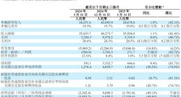2025年Q1，理想汽车豪打四张王牌