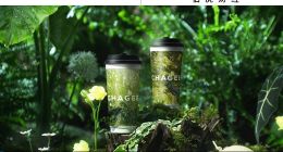 霸王茶姬走进同一条胡同