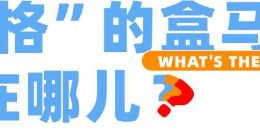 盒马屡次农兽药超标背后：三方检测钻空子，自检又太贵了