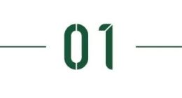 创始人沉迷造车、大金主雷军撤退，石头科技还剩多少故事能讲？