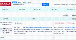 青岛数据集团增资至10亿 增幅约747%