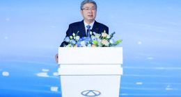 小蚂蚁冰淇淋从曾经的奇瑞新能源销量顶梁柱，何以变成了绊脚石？