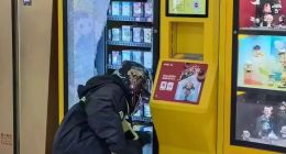 泡泡玛特是新的郁金香泡沫吗？