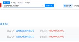 宝能地产及宝能酒店投资公司被恢复执行5.5亿