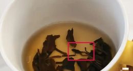 青蛙、过期奶、蟑螂三连击，奈雪品控失守背后：去年亏损超9亿