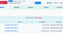 武汉集度汽车服务公司被执行940.3万