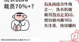 被曝大裁员！石头科技大刀阔斧布局的第二曲线，一开始注定了就是陪跑|深度