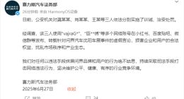 赛力斯汽车法务部通报：散布虚假信息者受到法律制裁