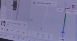 理想L6车主：双重锁都防不住车门“自动解锁”