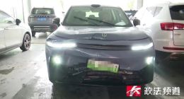 零跑车主称刹车失灵酿事故，4S店回复：系车主没踩刹车