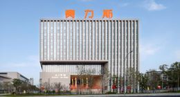 赛力斯可能没找对路子