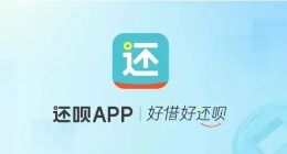 用户遭侮辱短信轰炸，“还呗”App被质疑泄露个人信息，投诉达2.6万条，去年净赚9.4亿元