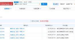 集度科技武汉公司等被执行8353万