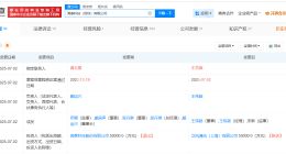 立讯精密接盘闻泰科技深圳公司