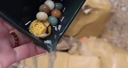 拿暴雨当噱头？抖音深夜惊现“泡水”直播间