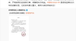 领克10 EM-P实拍图提前曝光，天下秀广告致歉并承诺彻查系统漏洞