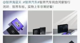 贴脸雷军、借号蹭流、血统暴论，智界高管急了