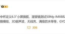 疑似vivo X300参数细节曝光：全球首款天玑9500小屏旗舰！