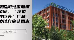 算法缺陷致虚增结算金额，“建筑软件巨头”广联达被地方审计局点名