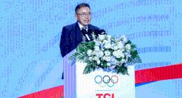 TCL“豪赌”，李东生资本游戏掀波澜，73万股民坐立难安