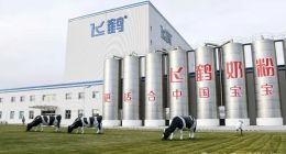 【财报透视】中国飞鹤生死局：业绩大跌，股价萎靡，分红能否挽回投资者信心？