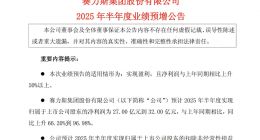 净利暴增销量下滑，赛力斯最强中报预告背后的喜与忧