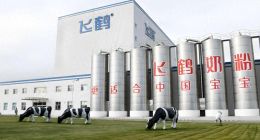 中国飞鹤：业绩再度大幅下滑分红却逐年走高，销售费用不断创新高侵蚀利润、冷友斌多年年薪超千万