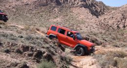 长城汽车最新财报暗藏危机！净利润下滑，新车型能否力挽狂澜？