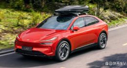 乐道L60自动泊车撞树？网友：别盲目相信自动泊车