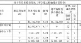 星环科技拟港交所上市：年亏损额持续扩大去年亏损3.43亿元 去年底刚定增失败
