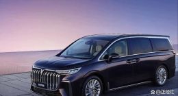 岚图梦想家，缘何惊魂？