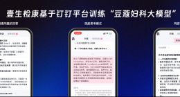 国内首例！由钉钉AI平台训练的豆蔻大模型通过妇产科主任医师考试