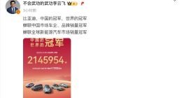 比亚迪2025年上半年累计销量达214.6万辆 蝉联中国/全球销冠