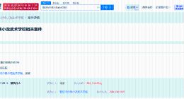 少林小龙武术学校成被执行人 释小龙父亲任职的少林武校被执行