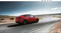 特斯拉卖车，有Model Y就行了 | 读财报