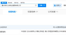 居然智家旗下重庆商业管理公司经营异常