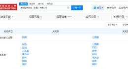 江艳颜任美赞臣中国董事长 美赞臣中国换帅完成工商变更