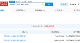 罗永浩锤子科技成被执行人 罗永浩锤子科技被执行2142万