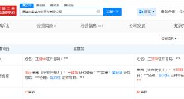 王健坤卸任万辰集团母公司职务 王健坤退出万辰集团母公司