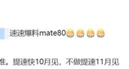 华为Mate 80系列或最快10月登场：首发全新麒麟芯片