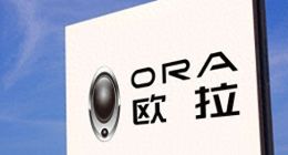 销量崩盘、帅旗频换，欧拉汽车的生死迷局