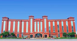 半年报“反转”，汤臣倍健的品类“点金术”是怎样炼成的？