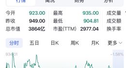 结束连涨，寒武纪股价今日收跌