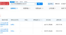 大连万达商管及张春远再次被限消 大连万达商管因10万案款被限消