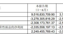 北汽蓝谷累亏300亿元，张国富“实战派”人设立得住吗？